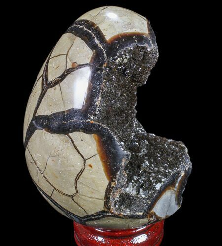 Septarian Dragon Egg Geode - Black Crystals #83395